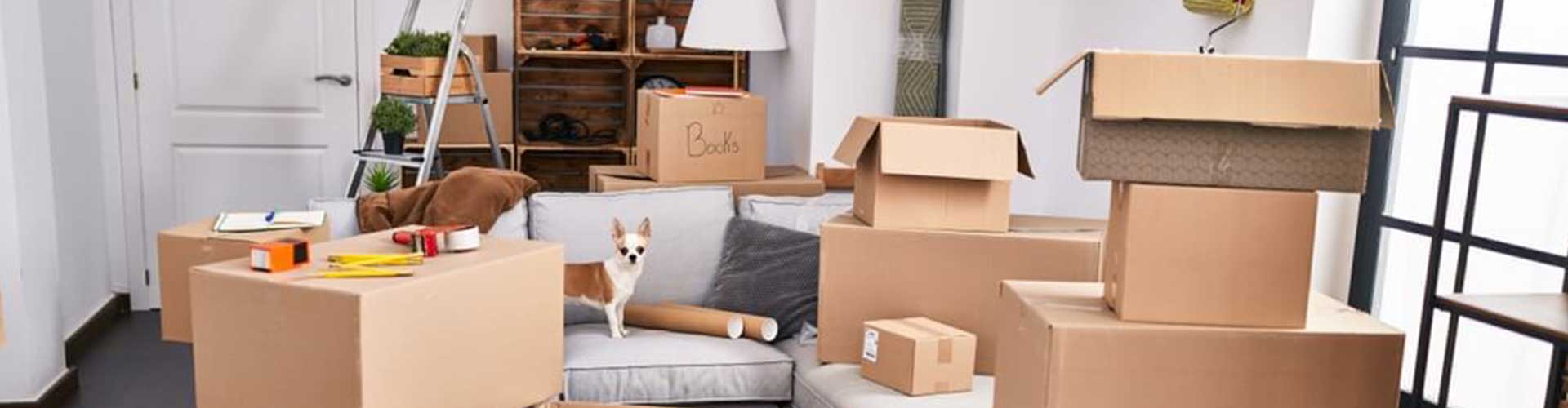 Moving Services